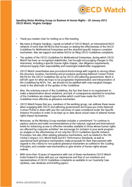 publication cover - OECD Watch Speaking Notes Speaking Notes Working Group on Business + Human Rights