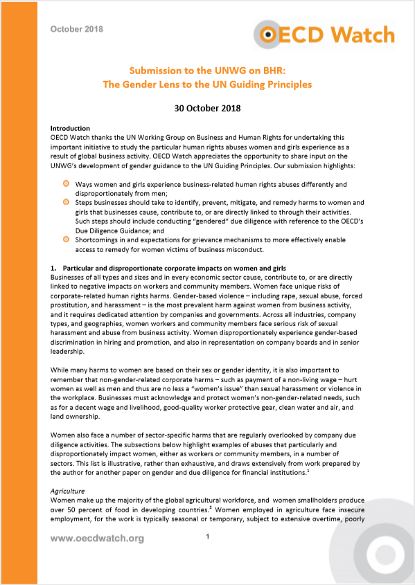 publication cover - Submission to the UN Working Group: Gender Lens to the UNGPs