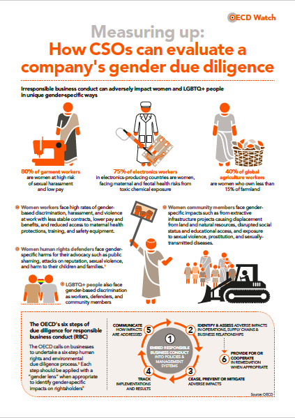 publication cover - New OECD Watch guidance on gender due diligence