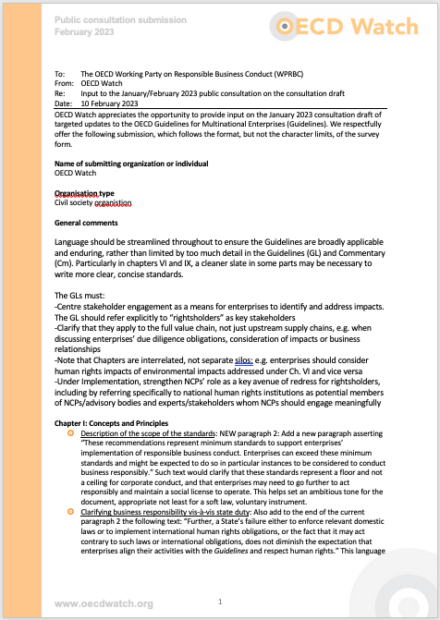 publication cover - OECD Watch comments on consultation draft