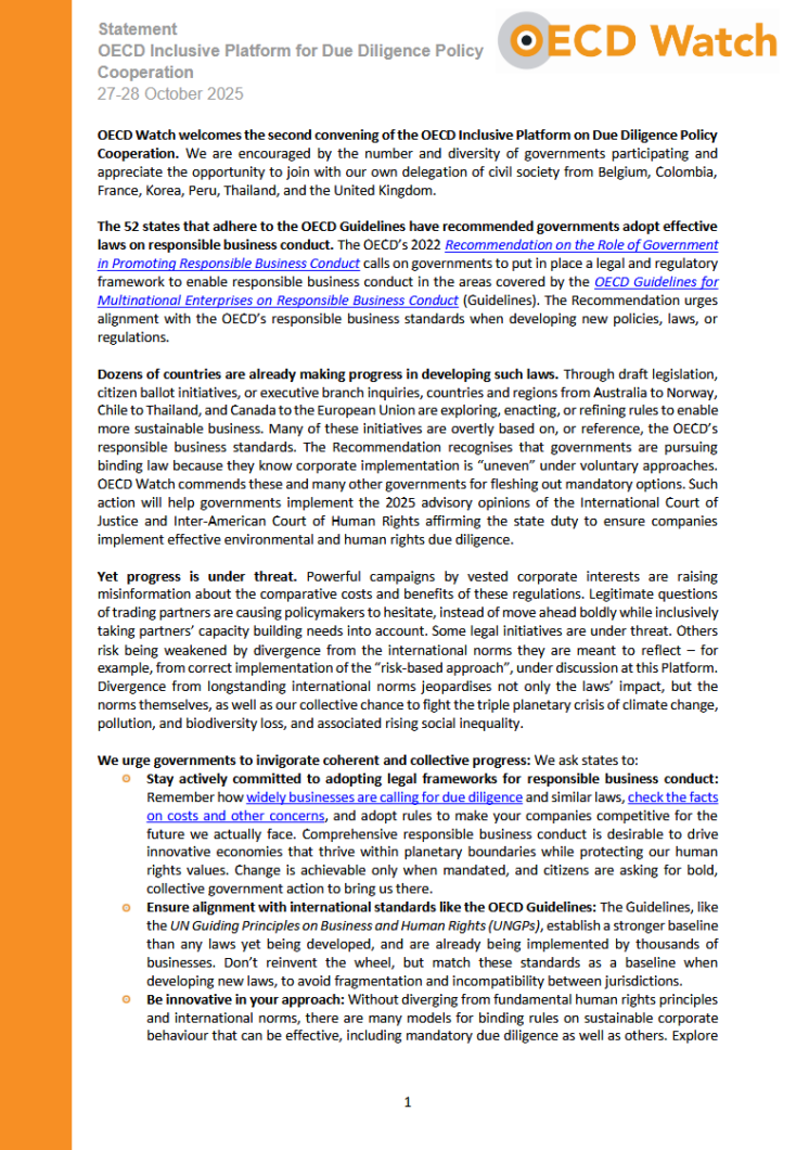 publication cover - OECD Watch statement on promoting binding corporate accountability law