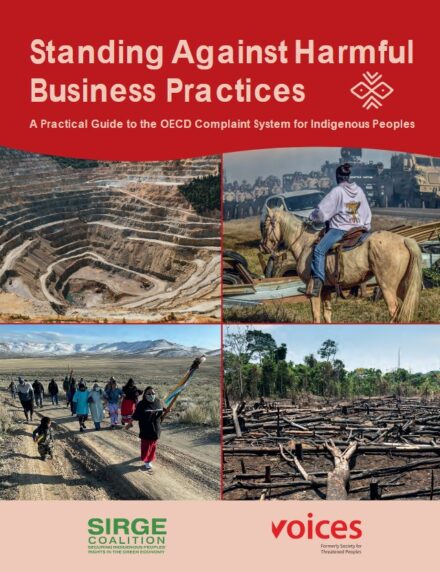 publication cover - Voices and SIRGE Coalition’s Handbook for Filing NCP Complaints Against Harmful Business Practices