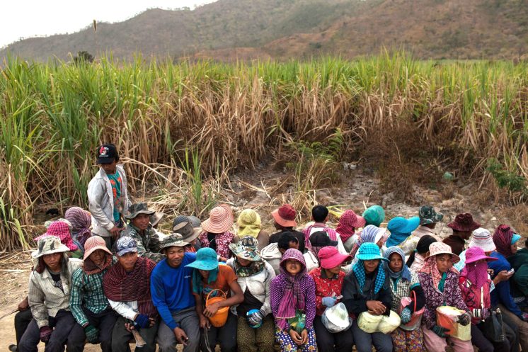 Blood Sugar: life in the Cambodian sugar plantations